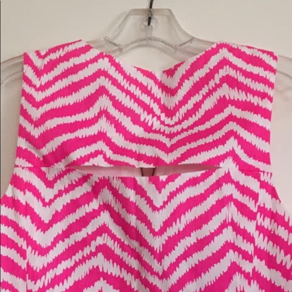 NWT Lilly Pulitzer Penelope Zebron shift 10 - Picture 2 of 3